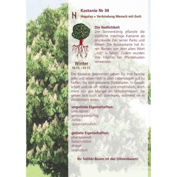 34 kastanie 1211 2111 herbst 1