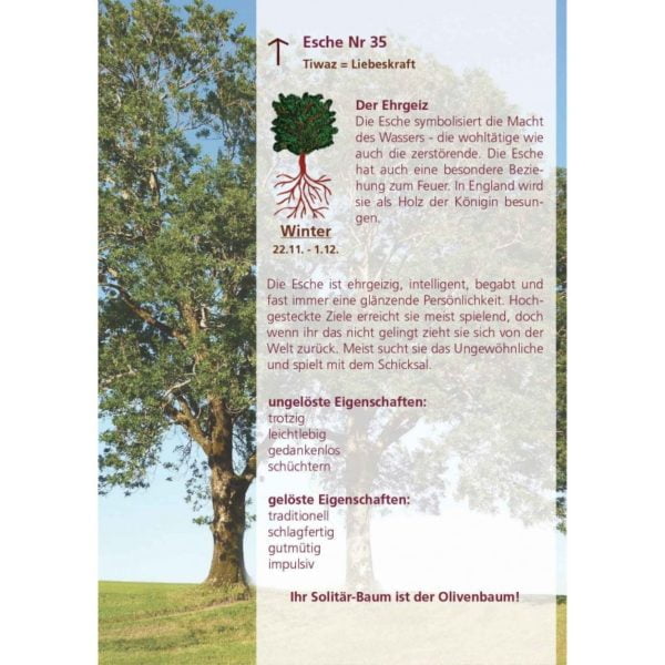 35 esche 2211 112 winter 1