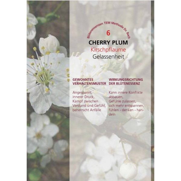 cherry-plum-kirschpflaume (1)