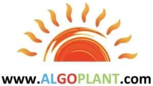 Logo Algoplant Angi 1